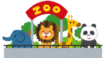 The Zoo's Portfolios - Month 2 / Week 0