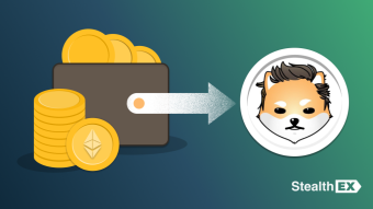 Where And How To Buy Dogelon Mars Coin ELON?