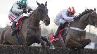 Smarty Wild (3.55 Warwick, 15 Feb)
