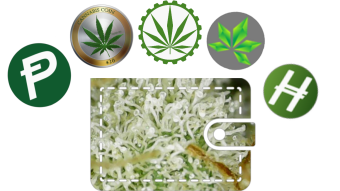 Cannabis crypto looking at 5 separate cannabis crypto projects