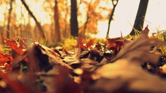 Sadly November