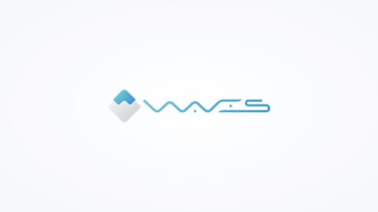 Waves Platform for Custom Token Creation