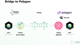 "Bridge to Polygon"