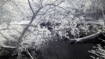 Walking down to Yahoola Creek - Infrared Photography