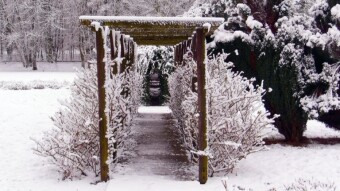A lovely version of winter, just the way I like it - My Actifit Report Card: January 22 2023