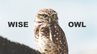 Wise Owl: Index Coop and the Case For Crypto Index Funds