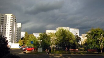 A cool, even cold Monday - it was clogged with autumn - My Actifit Report Card: August 5 2024