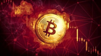 BTC is Getting Some Adoption