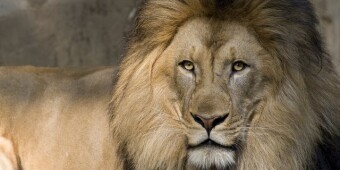 I am a success, an epitome of greatness. No one knows and believes in me more than myself.