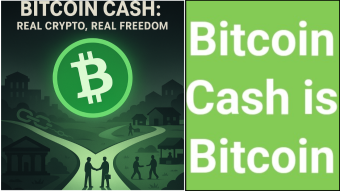 Bitcoin Cash and the Underdog Story of Real Peer-to-Peer Money