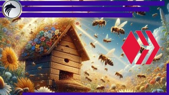 [ENG/ITA] Hive's Zealy Marketing Campaign - Are You Doing Your Part?