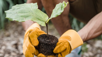 What is 🌱Chia Coin/Network (XCH) 🌿 and Why Should I Care?
