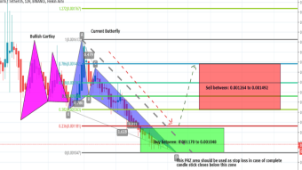 After Successful Formation Of Bullish Gartley Storm Has Formed Bullish Butterfly Pattern And Completed The Bullish Setup For Upto 42% Move