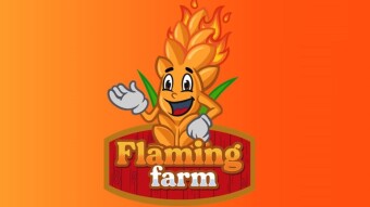 [French] Présentation du premier protocole déflationniste sur Yield Farming : Flaming Farm