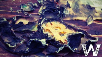The Currency War