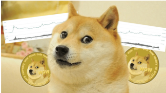 Do you believe in DOGE?