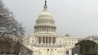 MUCH ADO ABOUT NOTHING - The Second Impeachment of Donald J. Trump