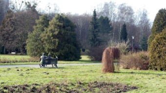 Pleasant, sometimes sunny and warm for February - My Actifit Report Card: February 2 2024