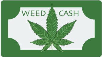 WeedCash Weakly update for the week of January 22-29 2021