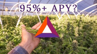 What are DeFi Yield Farming Protocols and how does it work?