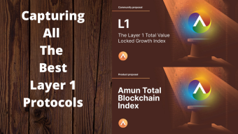 What Do You Think About Our Layer 1 BlockChain Index Proposals?