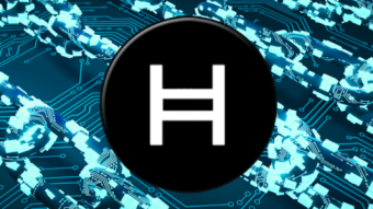 GOOGLE is working with Hedera Hashgraph, announcement Starts a massive rally for Hedera