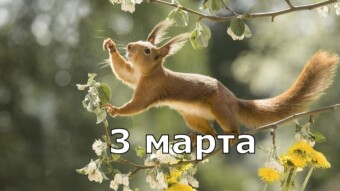 3 марта - праздники и исторические события дня