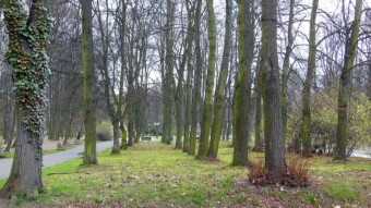 A day without sun, but warm and optimistic - like every Friday - My Actifit Report Card: March 22 2024