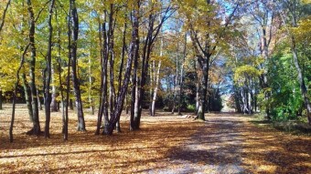 Thursday definitely with a summer accent - My Actifit Report Card: October 23, 2025