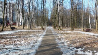 A frosty Saturday, it hasn't been like this for a long time - My Actifit Report Card: January 31, 2026