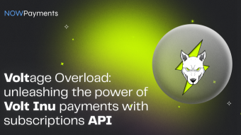 Voltage Overload: Unleashing the Power of Volt Inu Payments with NOWPayments’ Subscriptions API