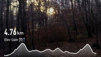 not rainy run [Exhaust Running Community Report, November 17th 2020]