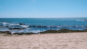 Trip to Portugal - Angeiras Summer 2020
