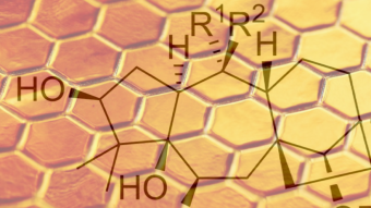 Mad honey  🍯or honey containing  Grayanotoxins from  rhododendron  its history  and modern use