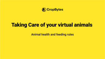 Animal Health & Feeding | CropBytes