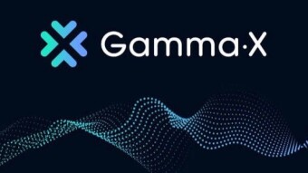 GammaX Exchange - new perpetual DEX with confirmed airdrop