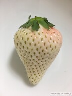 Japanese White Strawberry for 10$! Is it worth it?