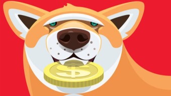 SHIBA INU The Dog Behind The Crypto Coin #part 3 