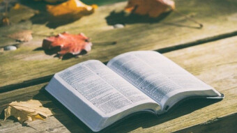 What Does the Bible Say About Gambling?