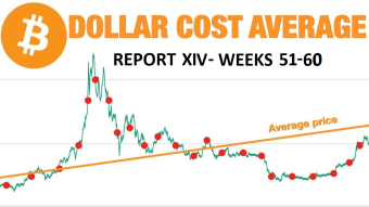 Great DCA experiment - report XIV (weeks 51-60 +5(1 new))