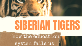 Siberian Tigers-How the Education System Fails Us