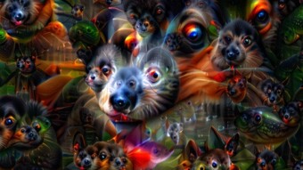 Dog Days, Acid Dreams