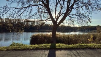 Well, the sun is finally out, beautiful Monday - My Actifit Report Card: October 7, 2024