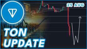 TON suffered a 20% drop after the arrest of Pavel Durov in France