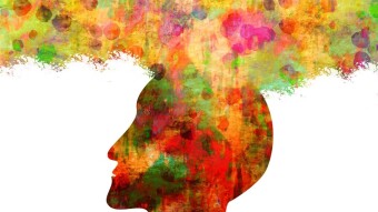 The very limitations of Human Understanding