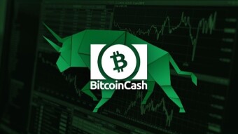 Encourage others to use Bitcoin cash