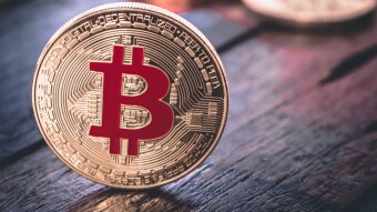 You Are A Regular Or Seasonal Crypto Trader?