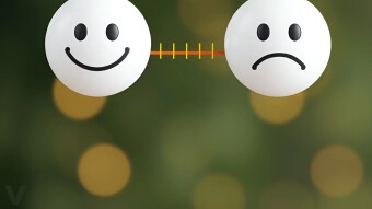 More Than Feedback: Enhancing the Customer Experience in Easy Ways