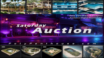 Recap of the most recent Poly Penthouse Projects Space Call and NFT Auction - 6/18/23.