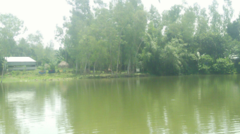 The pond is very beautiful